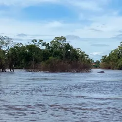 Irrawaddy Dolphin Watching - Kratie