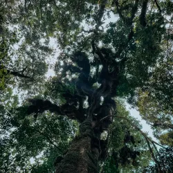 Phnom Aural Wildlife Sanctuary - Krong Chbar Mon (Kampong Speu)