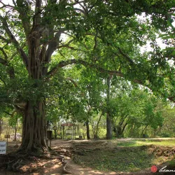 Choeung Ek Genocidal Center (Killing Fields) - Phnom Penh