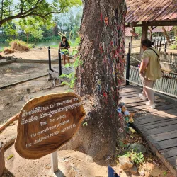 Choeung Ek Genocidal Center (Killing Fields) - Phnom Penh