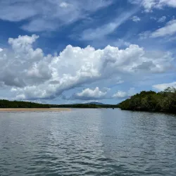 Nature Walks and Bird Watching - Phumi Samraong