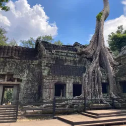 Ta Prohm - Siem Reap