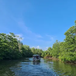 Ream National Park - Sihanoukville