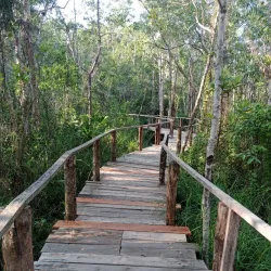 Ream National Park - Sihanoukville