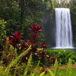 Campo Ma’an National Park - Kribi