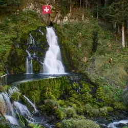 Campo Ma’an National Park - Kribi