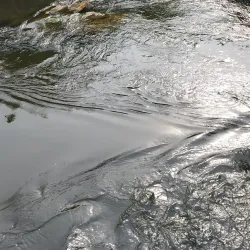 Chutes de la Lobé (Lobé Waterfalls) - Kribi