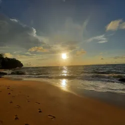 Chutes de la Lobé (Lobé Waterfalls) - Kribi