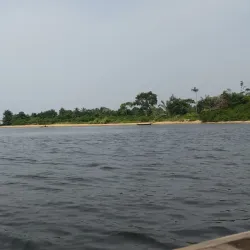 Chutes de la Lobé (Lobé Waterfalls) - Kribi