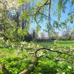 Kribi Lighthouse - Kribi
