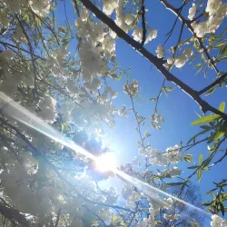Kribi Lighthouse - Kribi