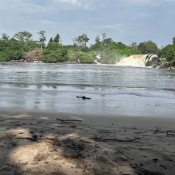 Kribi Mangrove Forests - Kribi