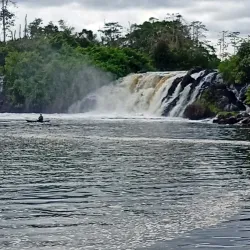 Kribi Mangrove Forests - Kribi