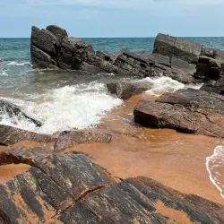 Kribi Mangrove Forests - Kribi
