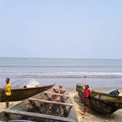 Kribi Mangrove Forests - Kribi