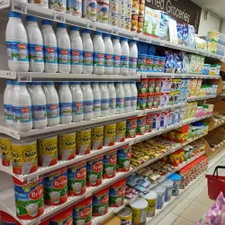 Local Fish Market - Kribi