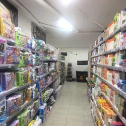 Local Fish Market - Kribi