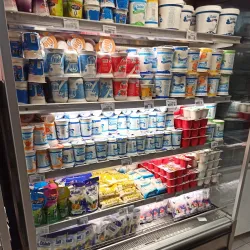 Local Fish Market - Kribi