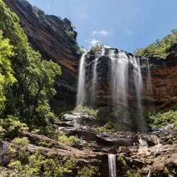 Campo Ma'an National Park - Sangmelima