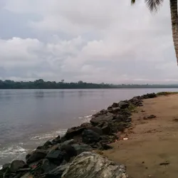 Campo Ma'an National Park - Sangmelima