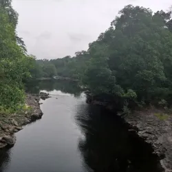 Campo Ma'an National Park - Sangmelima