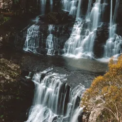 Campo Ma'an National Park - Sangmelima