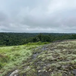 Dja Faunal Reserve - Sangmelima