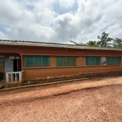 Dja Faunal Reserve - Sangmelima