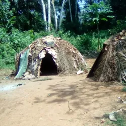Dja Faunal Reserve - Sangmelima