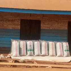 Lom Pangar Dam - Sangmelima