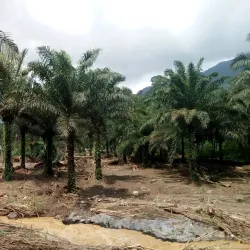 Mount Nlonako - Sangmelima