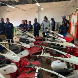 Traditional Dance Performances - Sangmelima