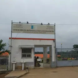 Traditional Dance Performances - Sangmelima