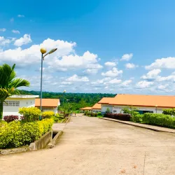 Traditional Dance Performances - Sangmelima