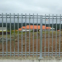 Traditional Dance Performances - Sangmelima