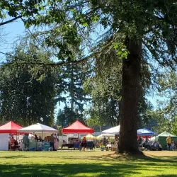 Abbotsford Farmers' Market - Abbotsford