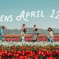 Abbotsford Tulip Festival - Abbotsford