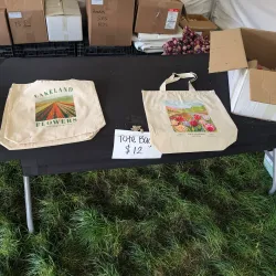 Abbotsford Tulip Festival - Abbotsford