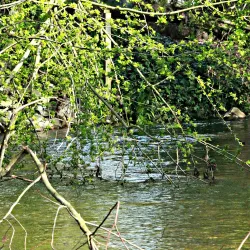 Clayburn Village - Abbotsford