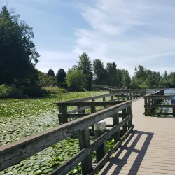 Mill Lake Golf Course - Abbotsford