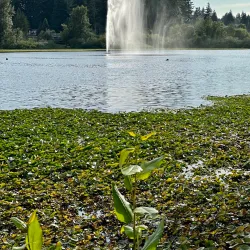 Mill Lake Nature House - Abbotsford