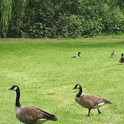 Mill Lake Nature House - Abbotsford