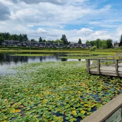 Mill Lake Park - Abbotsford
