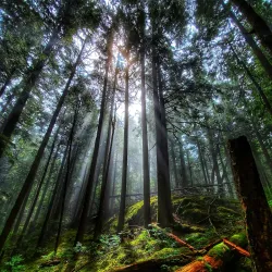 Sumas Mountain Regional Park - Abbotsford