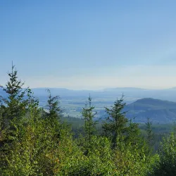 Sumas Mountain Regional Park - Abbotsford
