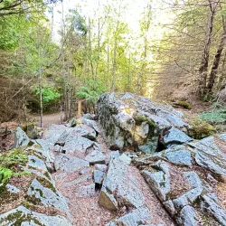 Sumas Mountain Regional Park - Abbotsford