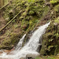 Sumas Mountain Regional Park - Abbotsford