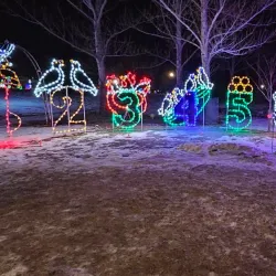 Airdrie Festival of Lights - Airdrie