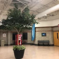 Ajax Community Centre and Arena - Ajax