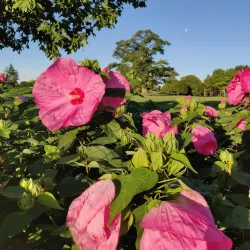 Ajax Waterfront Park - Ajax